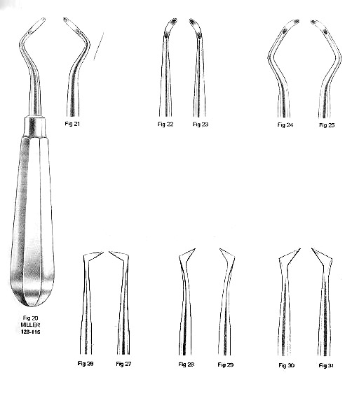 Miller Root Elevator